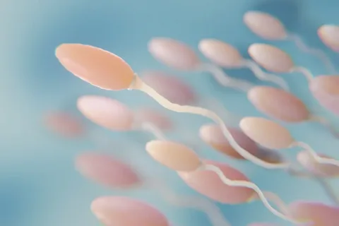Herbal Treatment for Low Sperm Count